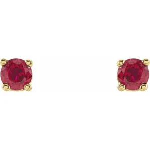 14K Yellow 2.5 mm Natural Ruby Stud Earrings