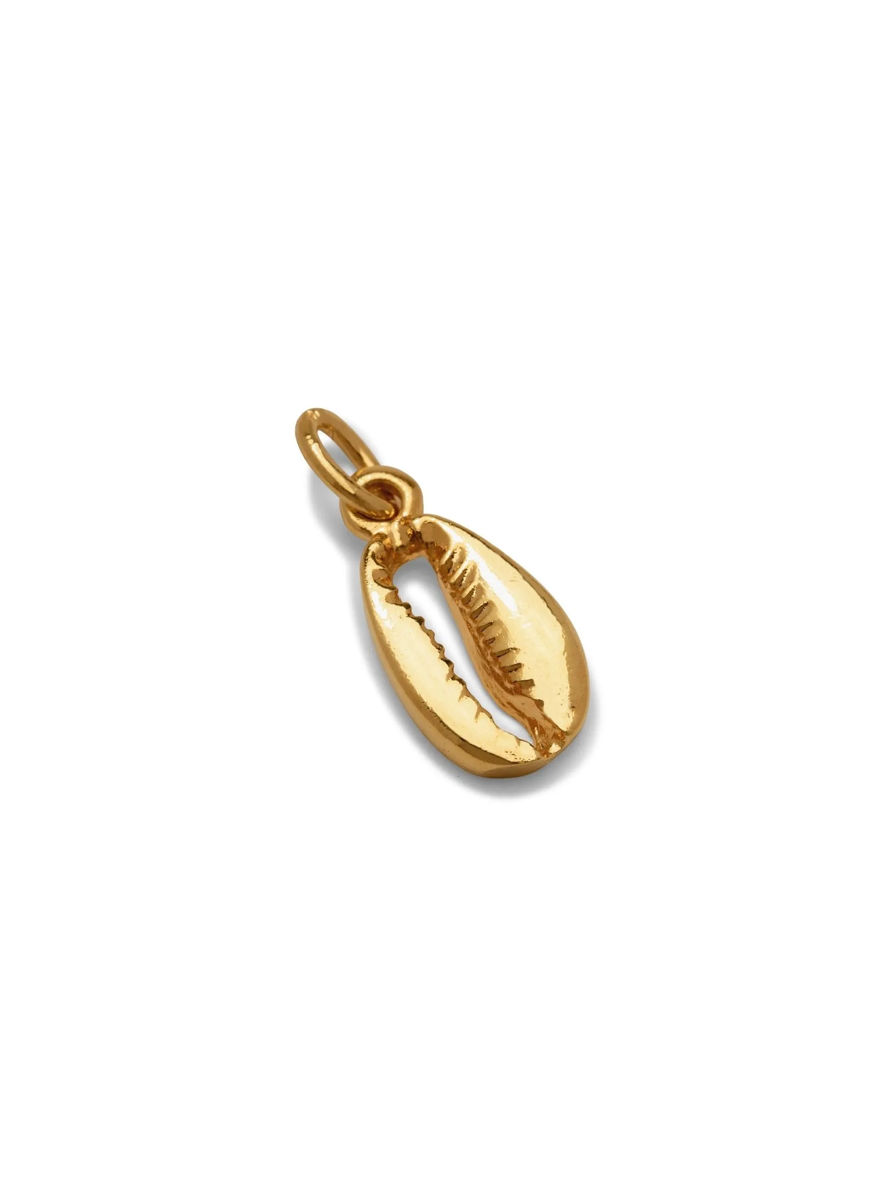 Gold Cowrie Necklace Pendant Charm (sm)